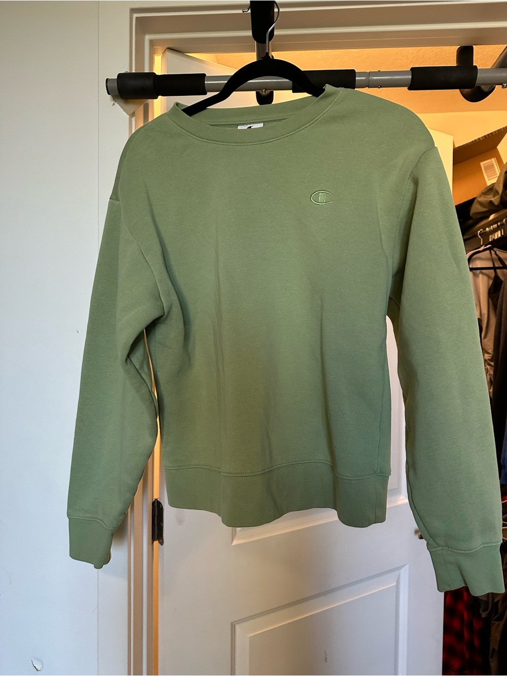 Champion light green sweatshirt